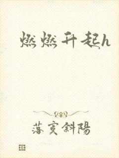 燃燃升起h