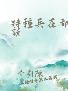 特种兵在都市小说