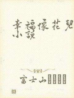 幸福像花儿一样小说