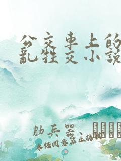 公交车上的疯狂乱牲交小说