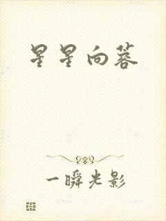 星星向蓉