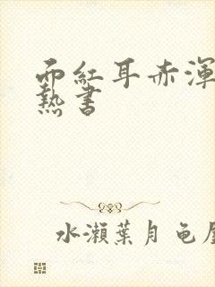 面红耳赤浑身燥热书