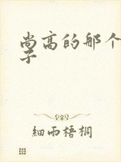 尚高的那个臭小子