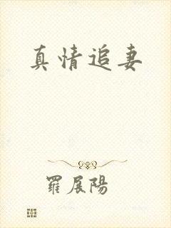 真情追妻