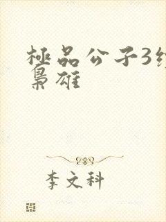 极品公子3续世枭雄