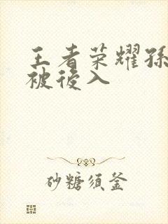 王者荣耀孙尚香被后入