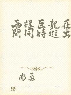 两根巨龙在她腿间同时进出