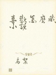 喜欢怎么藏不住小说