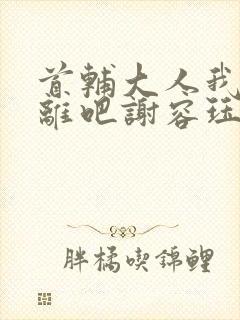 首辅大人我们和离吧谢容珏