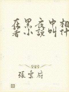 在黑夜中相拥原著小说叫什么