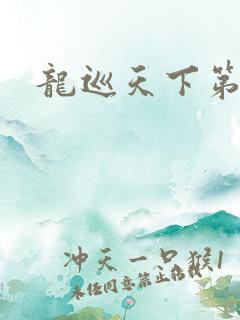 龙巡天下第四部