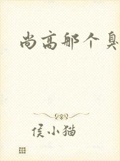 尚高那个臭小子