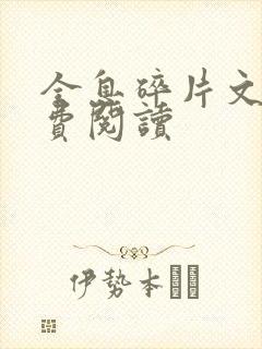 全息碎片文轩免费阅读