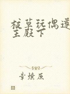 校草玩偶遵命公主殿下