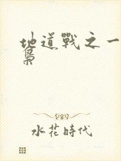 地道战之一代功枭