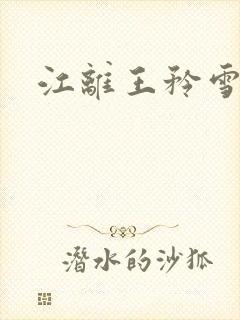 江离王矜雪小说