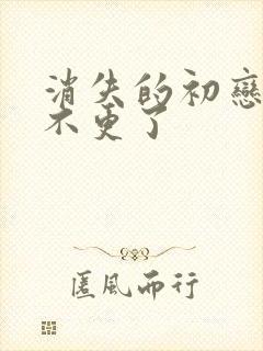 消失的初恋为啥不更了