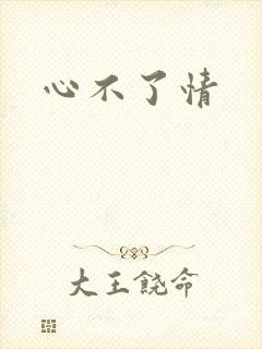 心不了情