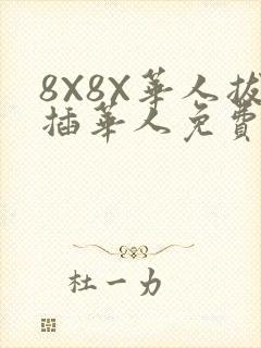8X8X华人拔插华人免费