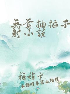 无套抽插子宫内射小说