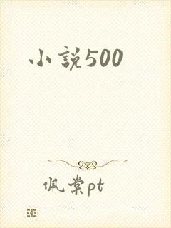 小说500