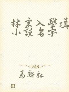 林寒入学填未婚小说名字