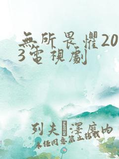 无所畏惧2023电视剧