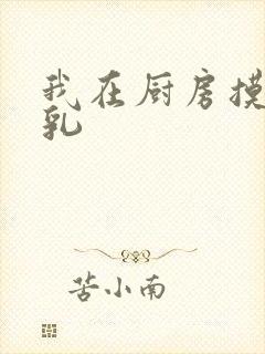 我在厨房摸岳的乳