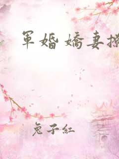 军婚 娇妻撩人