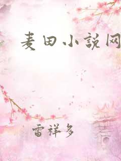 麦田小说网