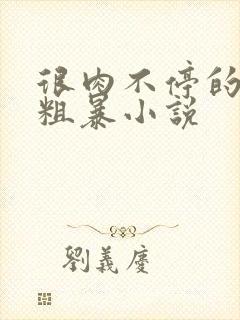 很肉不停的做很粗暴小说