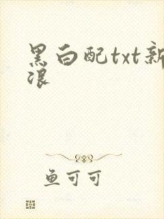 黑白配txt新浪