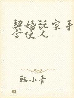 契婚玩家手册之合伙人