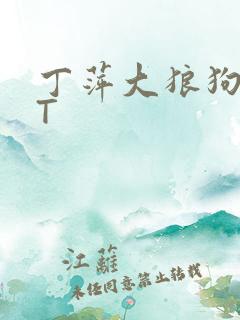 丁萍大狼狗TXT