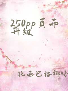 250pp页面升级