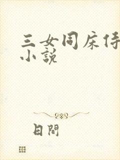 三女同床侍一夫小说