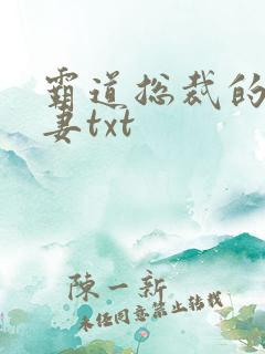 霸道总裁的挂名妻txt