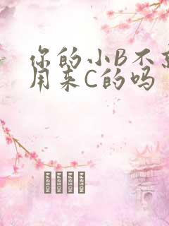 你的小B不就是用来C的吗