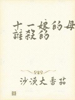 十一娘的母亲是谁杀的