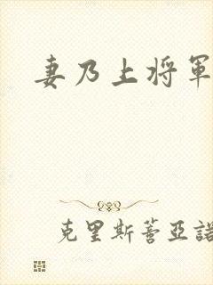 妻乃上将军下载