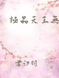 极品天王无弹窗