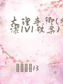 大理寺.卿(双洁1V1破案)