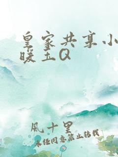 皇家共享小公主暖玉Q