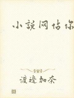 小说网站你懂的