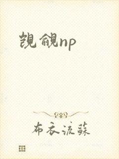 觊觎np