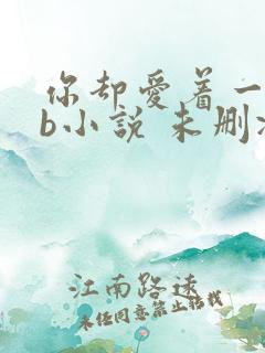 你却爱着一个sb小说 未删减完整版百度云