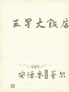 五星大饭店小说