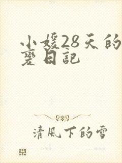 小媛28天的剧变日记