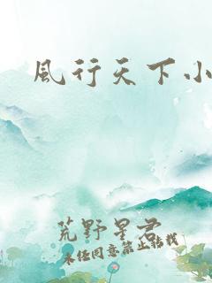 风行天下小说