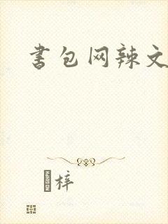 书包网辣文